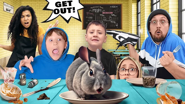 Adorable Chinchilla Causes Chaos in Restaurant!