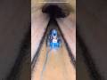The Snake Fell In This Drain Shortsvideo The Snake Fell In This Drain Shortsvideo
