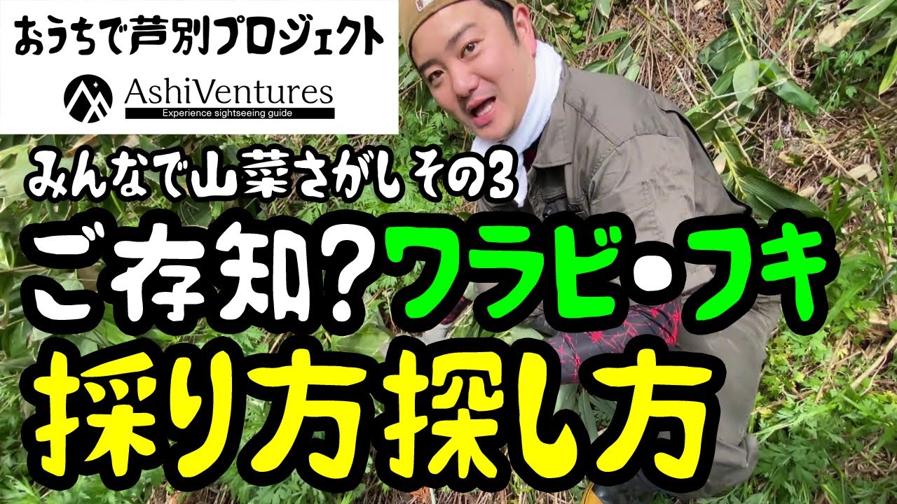 おうちで芦別プロジェクト みんなで山菜さがし その3 ワラビ フキの採り方探し方 Youtube