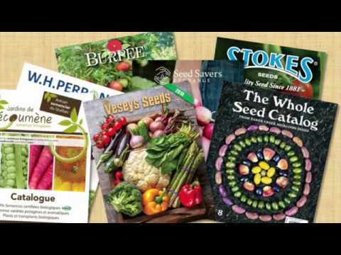 comme-on-fait-son-jardin---le-potager-de-a-à-z-:-achat-des-semences