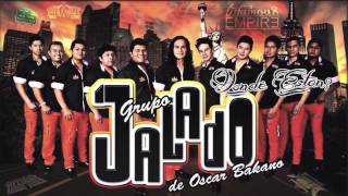 Video voorbeeld van "Grupo Jalado  - El Soltario 2015"