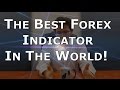 What is the BEST Forex indicator in the world?