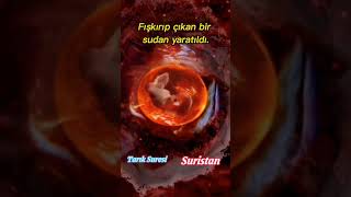 Tarık Suresi Okuyan Ahmed kehdr