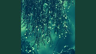 Subdued Wellness
