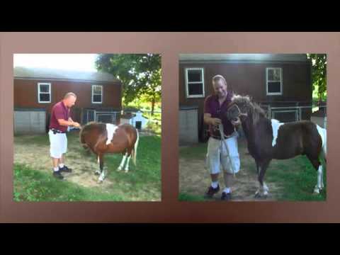 "WildRose Horse Farm" Uncasville, Connecticut Musi...