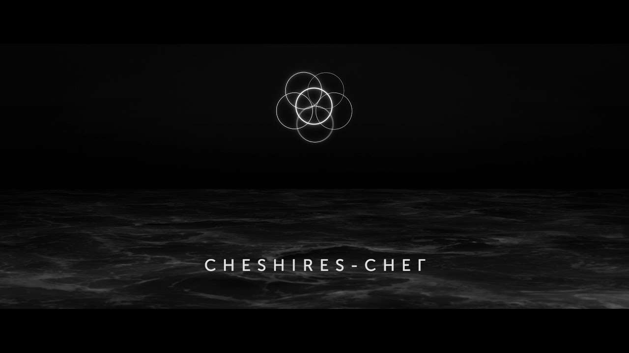 Cheshires - Снег