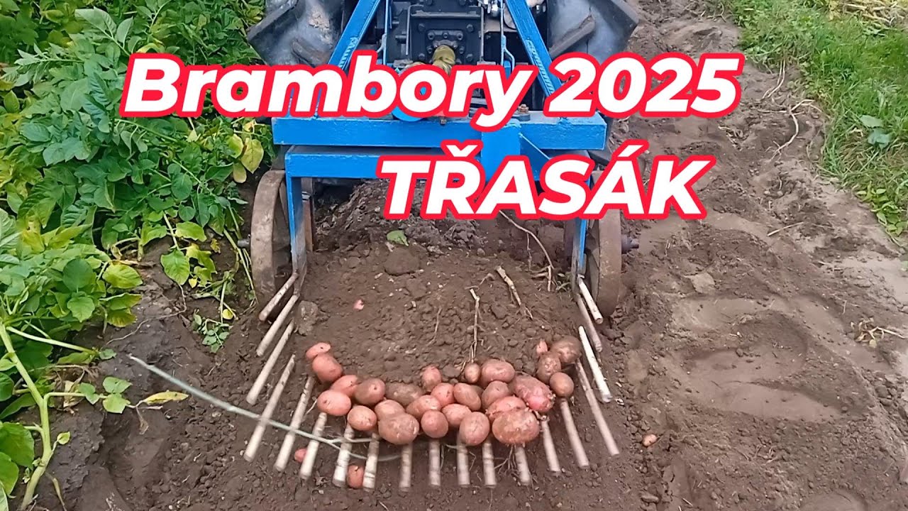 Brambor-vybírač 2025 - TŘASÁK