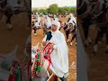 نادي السيل مصراته الفروسية