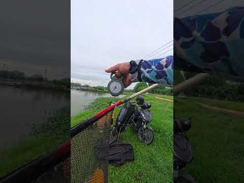 Trở lại Hồ bán tự nhiên - Việt Yên, Bắc Giang