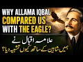 Why Did Allama Iqbal Compare Us to an Eagle? The Truth Will Shock You! 😱