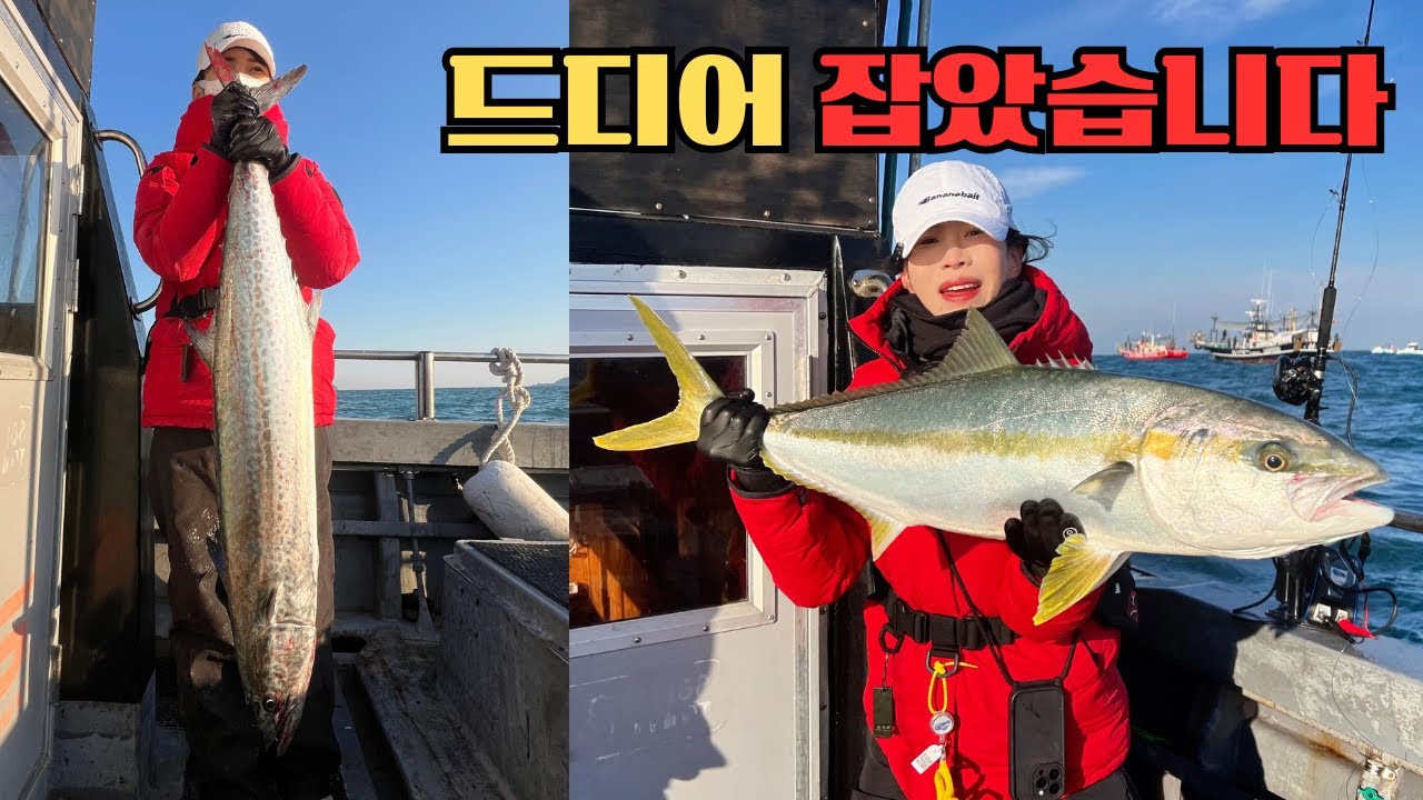 이걸 진짜 낚을줄은...살면서 이렇게 큰건 처음 입니다 ㅣ낚시 30년 고수가 알려주는 방어 손질 법 ㅣ방어낚시 ㅣ여수 백야항 퓨리호