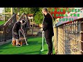 Creep comes to play mini golf with 13 year old girl but plays me instead
