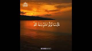 Deep Emotional Quran Recitation for Soul Healing and Heart Serenity #Quran #Peace البقرة