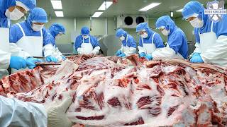 One Cow, 39 Different Beef Cuts! Inside a Busy Beef Processing Plant