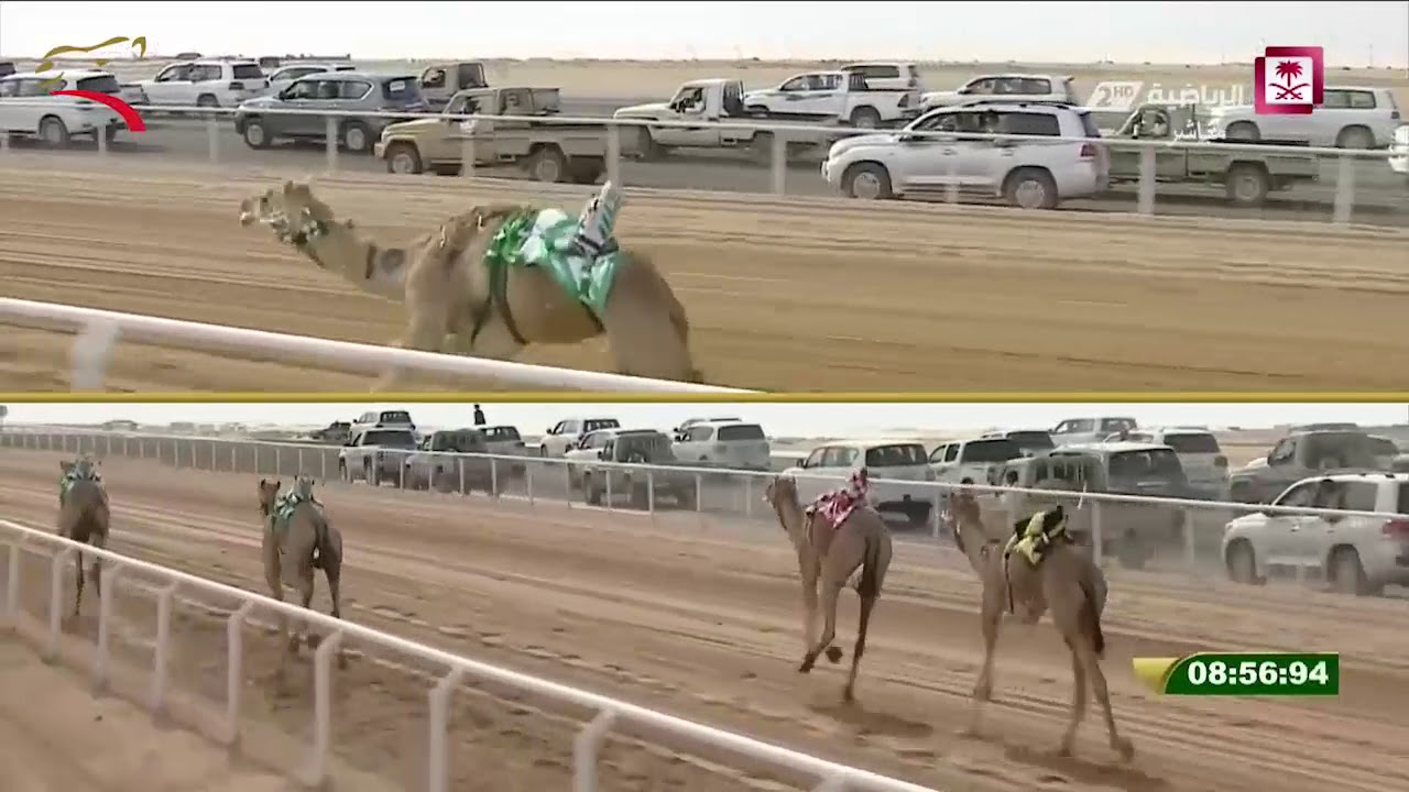 جائزة الملك عبد العزيز- رماح- ثنايا 30-1-2018 م– ش3 سمهرم لـ حمد محمد سالم الوهيبي 12:09:89