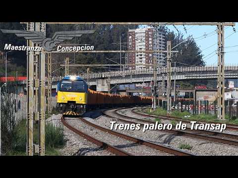 Tren palero de Transap (San Rosendo - Concepción) cargado y vacío