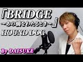 【BRIDGE〜あの橋をわたるとき〜/HOUND DOG】covered by DAISUKE 大友康平さん風に 【歌ってみた】