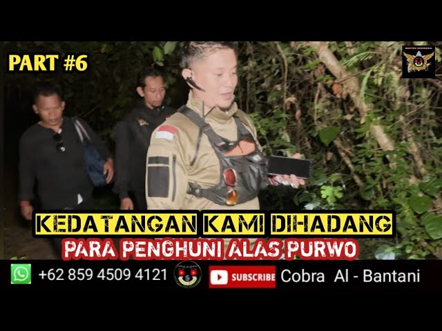 🔴 PART #6 MENYIBAK TABIR MISTERI GOA ISTANA ALAS PURWO BANYUWANGI JAWA TIMUR 😱 class=