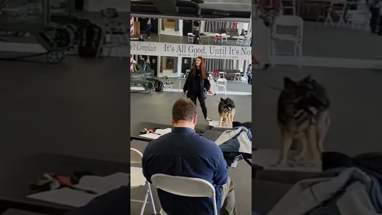 Sneak Peak of the Ridgeside K9 Dog Training Center