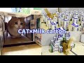 When I gave a cat a tunnel of milk carton, it stopped coming out.