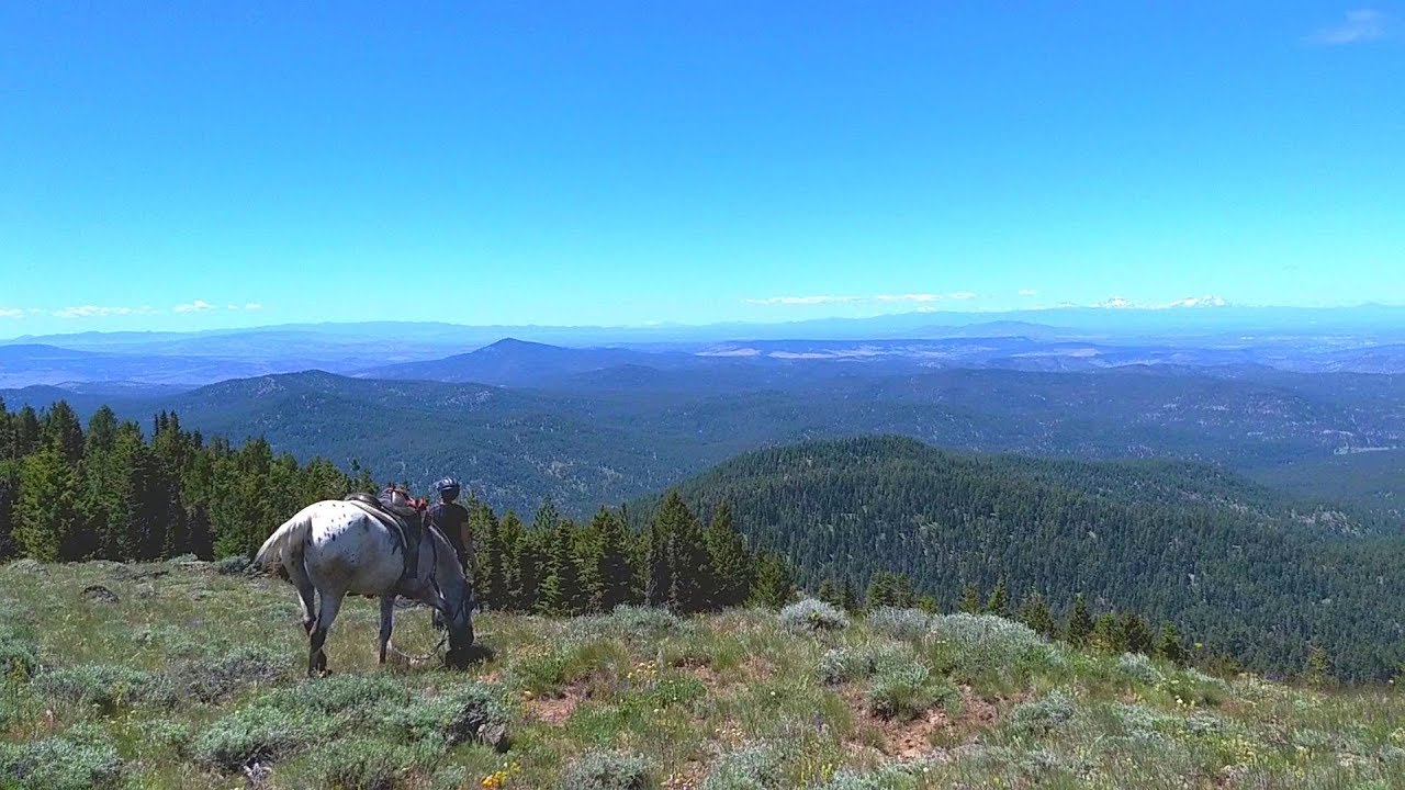 lookout pass mountain biking