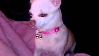 December 11, 2011 737 Pm