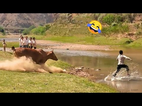 TRY NOT TO LAUGH 😅 Top Funniest Moments | memes PART 6