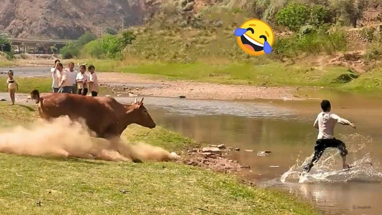 TRY NOT TO LAUGH 😅 Top Funniest Moments | memes PART 6