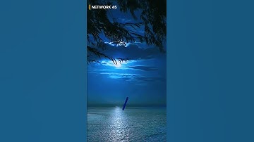 I Spent 100 Hours Watching Tree and Moon Videos and Found This ONE Crucial Detail