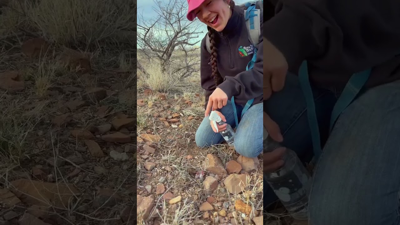 Round Mountain Arizona &ldquo;Fire&rdquo;