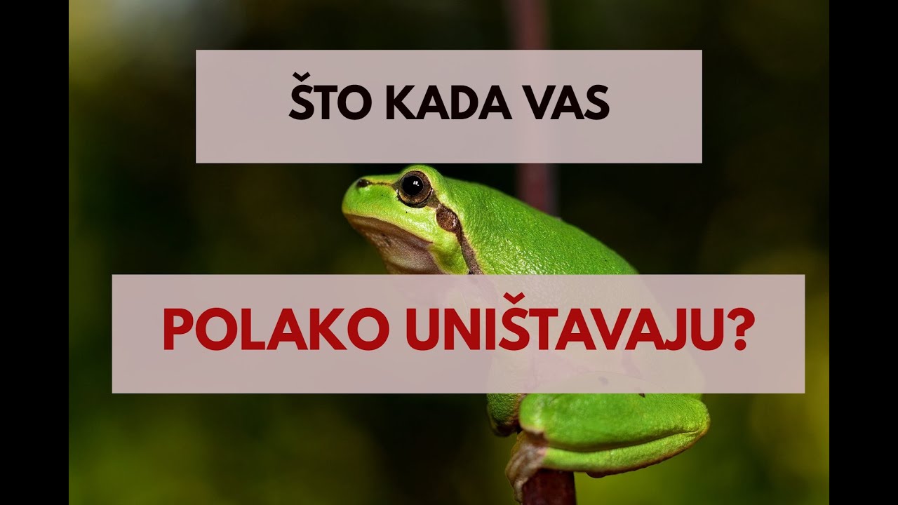 Skuhana ŽABA / dr. sc. Elvira Mlivić (Filaks)