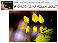 Ashrama Gardens Photo Video # 0450 - April 01, 2021 Edition - End March Clicks