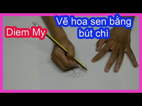 Video Vẽ hoa sen bằng bút chì - youtube