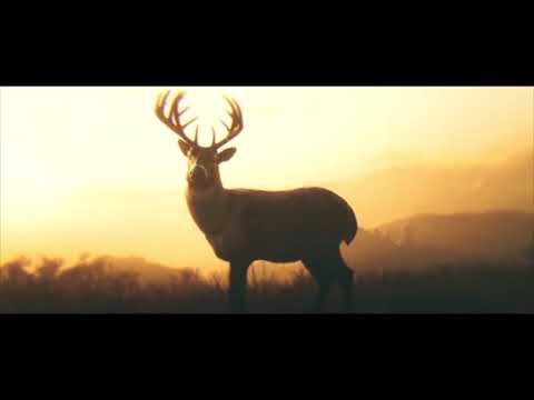 How I Red Dead Redemption 2 should have ended!