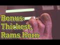 Weekend Bonus 👉Try Again👈🏿 Thickest Toenails and Bonus Rams Horn - Throwback 1 Year Ago