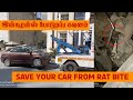 Rat bite coverage in car insurance       rat bite  insurance awareness