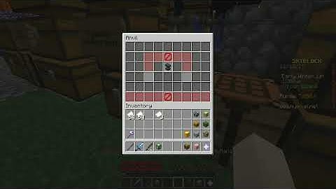 Hypixel SkyBlock | Anvil Barrier Block Bug #2