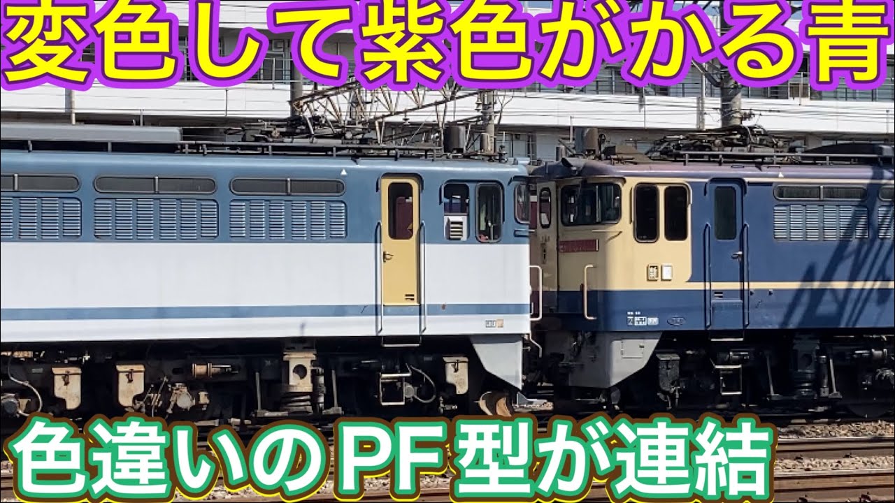 EF56形　電気機関車 違うかもしれません JR EF81形電気機関車(敦賀運転所・Hゴムグレー) ｜製品情報｜製品検索