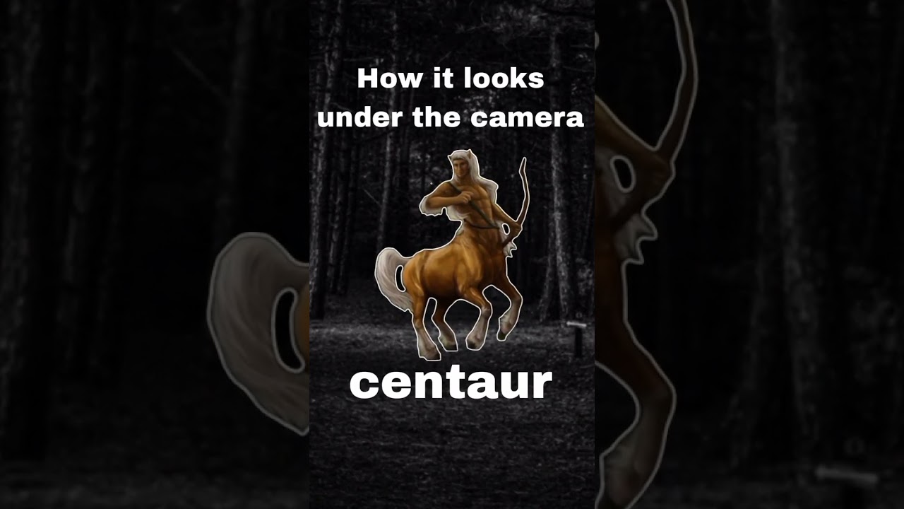 What a centaur looks like on camera 😱