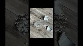 perdi meu canal de 600 inscritos :(( -   #fy #fyp #naoflopa #artist #artista #aura #memes #funny
