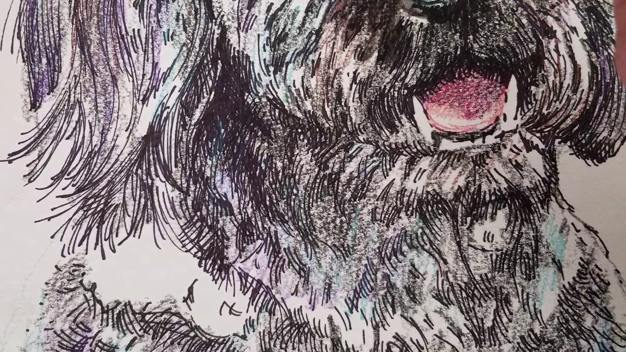 Painting a pet art part 1 