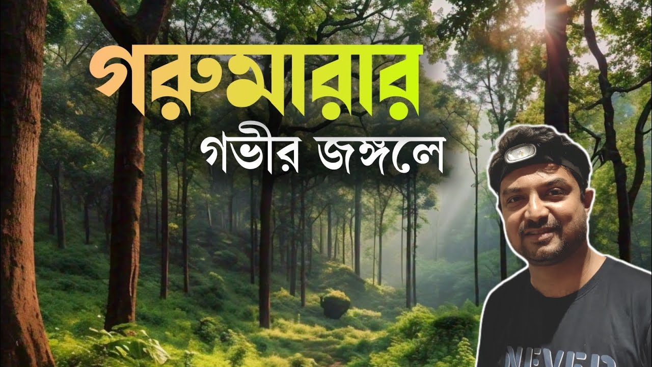 Gorumara  |  ট্যুরিজমের রিসর্টে থাকার দারুন অভিজ্ঞতা  | Dooars