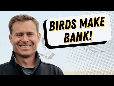 Behind the Scenes: 6-Figure Bird Watching Blog