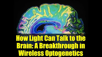 How Light Can Talk to the Brain: A Breakthrough in Wireless Optogenetics