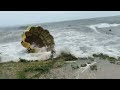 【悲報】直島の「かぼちゃ」台風9号で海に流される 草間彌生さん作 (yayoi kusama)