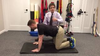Quadruped progression