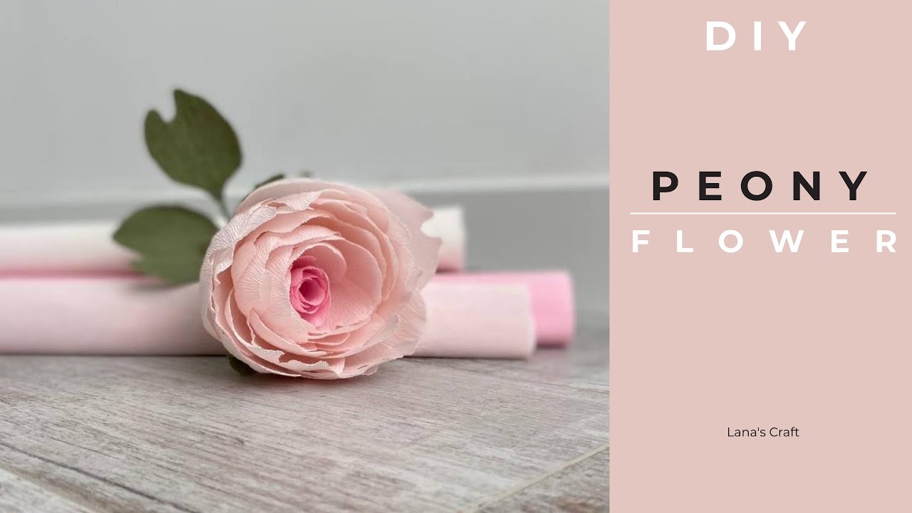Paper peony | Crepe paper flower | DIY