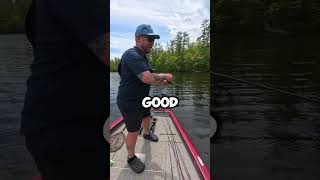 This swimbait gets the maine smallies #bassfishing #bassfishinglures #swimbaitfishing