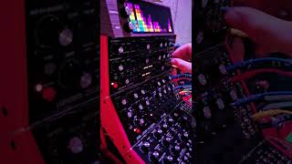 Sunday Synth Jam Featuring Moog Labyrinth and DFAM #music #electronicmusic #modular #dawless #live