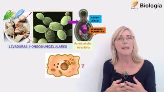 22-Biología.Actividad integradora (b)